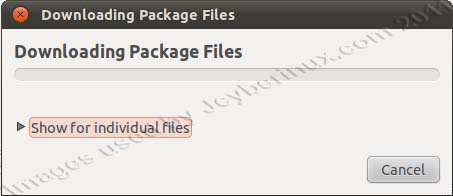 Usage of Synaptic Package Manager on Ubuntu